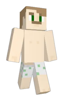 LostFox08 Minecraft avatar full body
