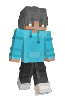 Lotesen Minecraft avatar full body