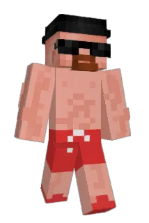 Lotreman Minecraft avatar full body