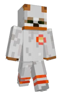 Louiwe Minecraft avatar full body