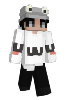 Louqe Minecraft avatar full body