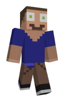 Louttox Minecraft avatar full body