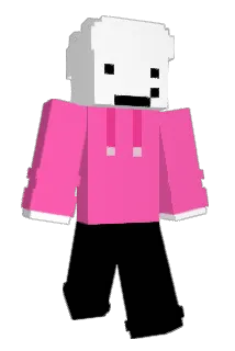 LoveNinjaDEV Minecraft avatar full body