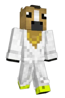 LowSenseDing Minecraft avatar full body