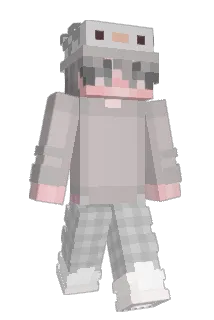 LowerDown Minecraft avatar full body