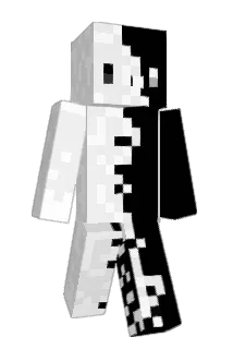 Lowkey_coyote Minecraft avatar full body