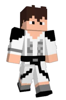 Lozeis Minecraft avatar full body