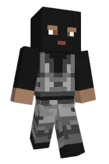 LtTinyD Minecraft avatar full body