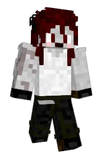 Lubeck Minecraft avatar full body