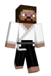 LucasM147 Minecraft avatar full body