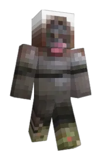 Luckyelix Minecraft avatar full body