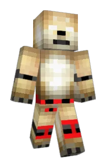 LudgerMLG Minecraft avatar full body