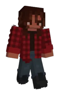 Ludiss Minecraft avatar full body