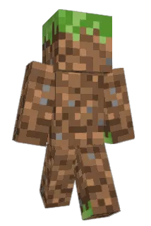 Luftgewehre Minecraft avatar full body