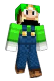 LuigiMarines Minecraft avatar full body