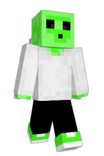 Lukas_Gamer1000 Minecraft avatar full body