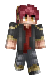 Lutsert4NL Minecraft avatar full body