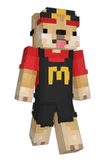 Lyfrosst Minecraft avatar full body