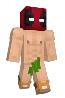 Lynkubus Minecraft avatar full body