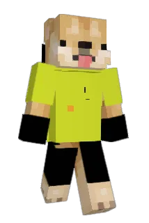 Lynx2011 Minecraft avatar full body