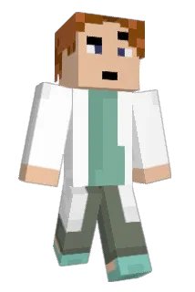 Lyophilized Minecraft avatar full body