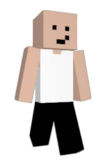 LysyZadymiarz Minecraft avatar full body
