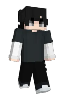 M3tr1 Minecraft avatar full body