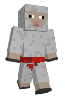 M4RT1N__ Minecraft avatar full body