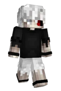 M8_P4 Minecraft avatar full body