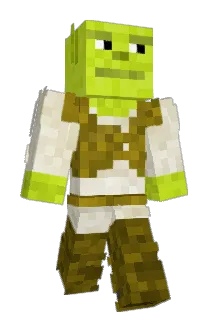 MAJ10 Minecraft avatar full body
