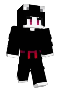 MAPOKOl Minecraft avatar full body