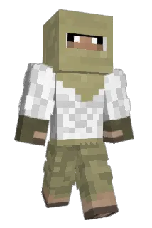 MAPUAPTU Minecraft avatar full body