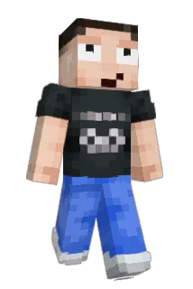 MATPOWER124 Minecraft avatar full body