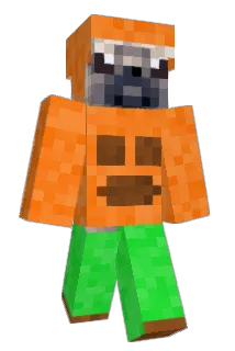 MAX39456 Minecraft avatar full body