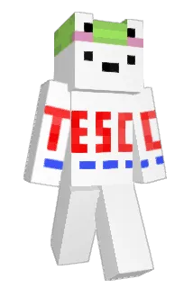 MCDUCKTDM Minecraft avatar full body