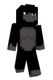 MCONHA Minecraft avatar full body