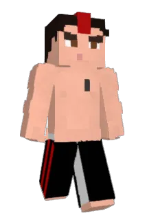 MC_Hawk Minecraft avatar full body