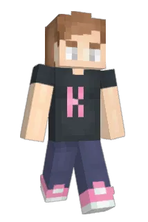 MDDrHouse Minecraft avatar full body