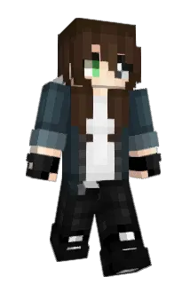 MEEBSS Minecraft avatar full body
