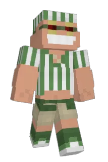 MGGpl Minecraft avatar full body