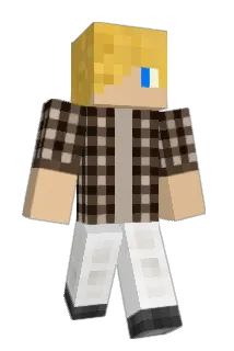 MGWM1 Minecraft avatar full body