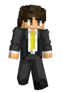 MHM0701 Minecraft avatar full body