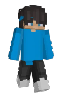 MIGUE071529 Minecraft avatar full body