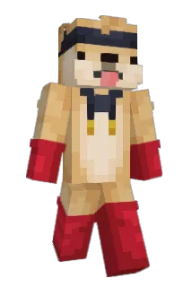 MINIDOUGH24 Minecraft avatar full body