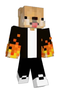 MIX416 Minecraft avatar full body