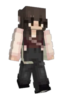MJ867 Minecraft avatar full body