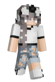 MJD2217 Minecraft avatar full body