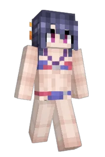 MJDenton Minecraft avatar full body