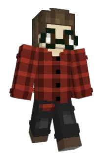 MJPD955 Minecraft avatar full body