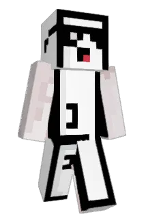 MLG_fridge Minecraft avatar full body